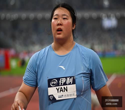 胜巅峰背后,数据波动中,的隐秘力量,2026世界杯投注网,世界杯投注,体育博彩,足球投注,世界杯赔率,世界杯投注技巧,网上投注